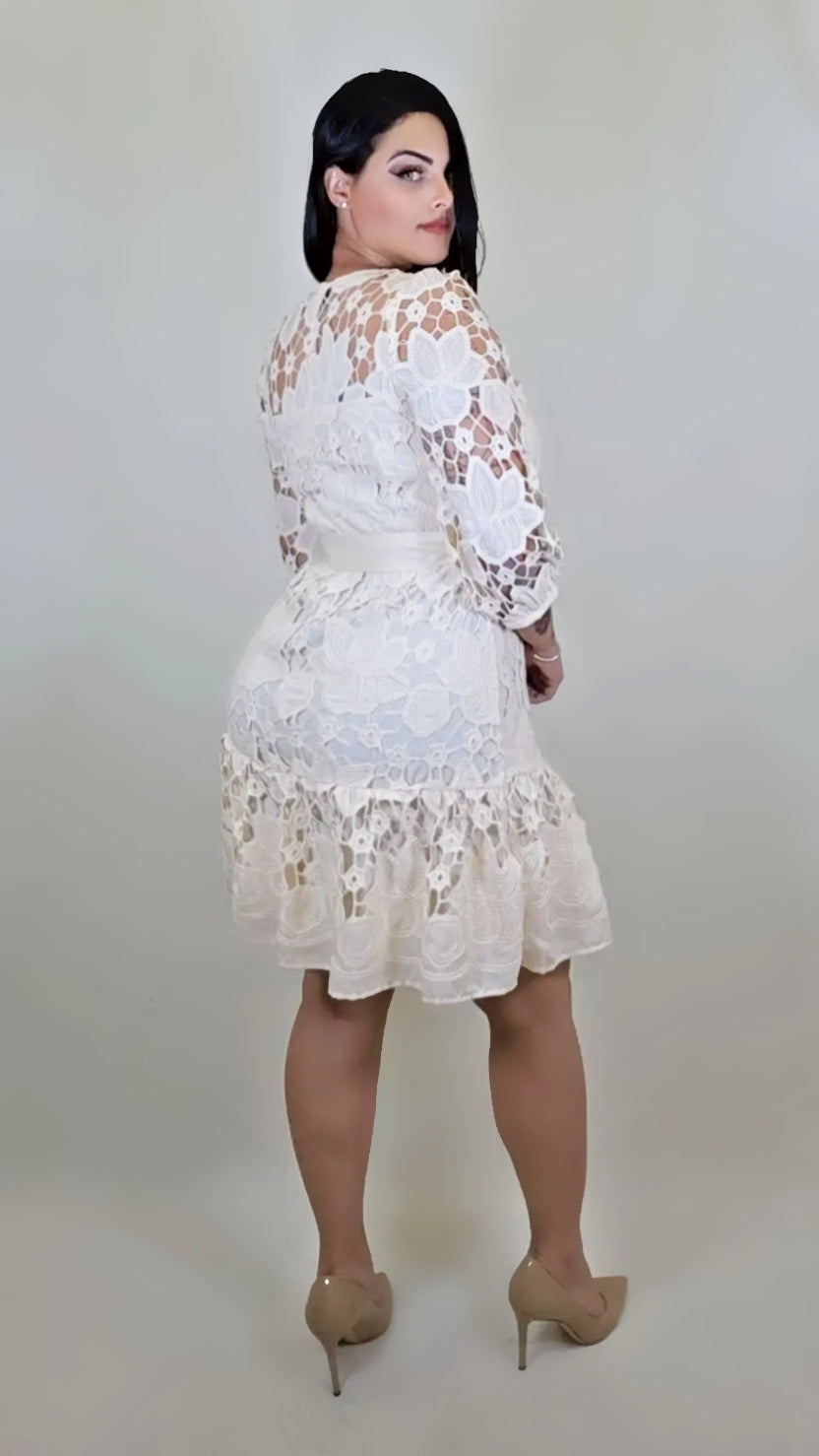 Embroidered Mini Dress